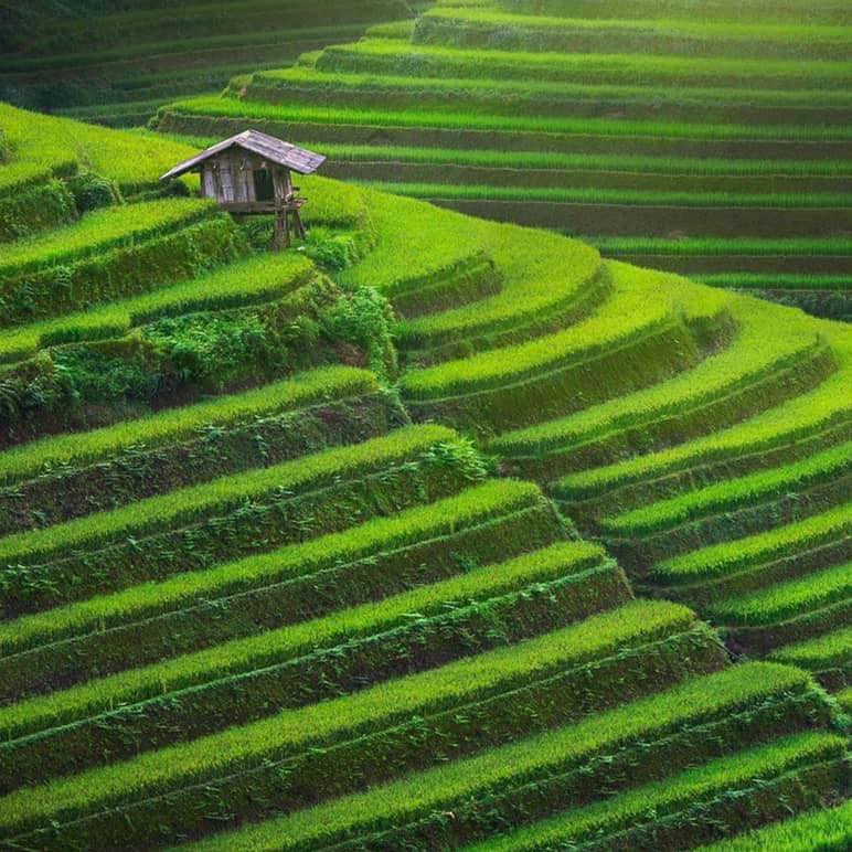 Hanoi - Sapa - 3 Days - Private Tour - Image 4