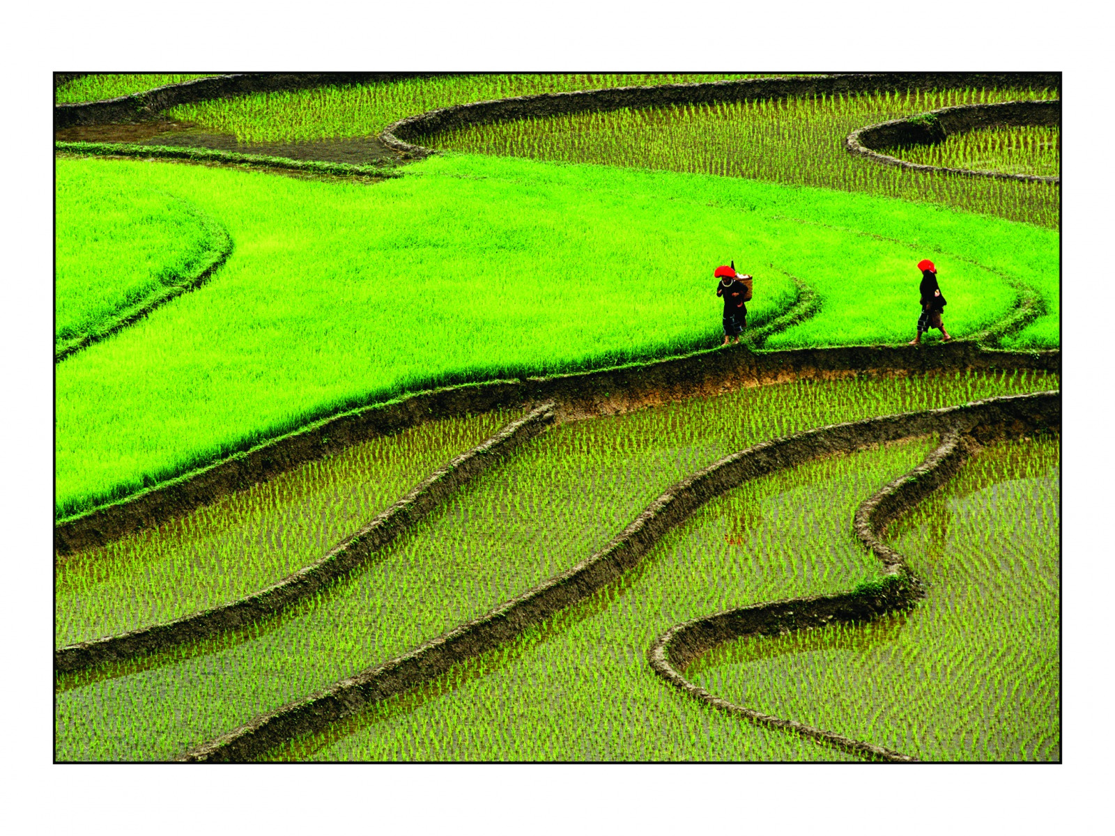 Hanoi - Sapa - 3 Days - Private Tour - Image 6