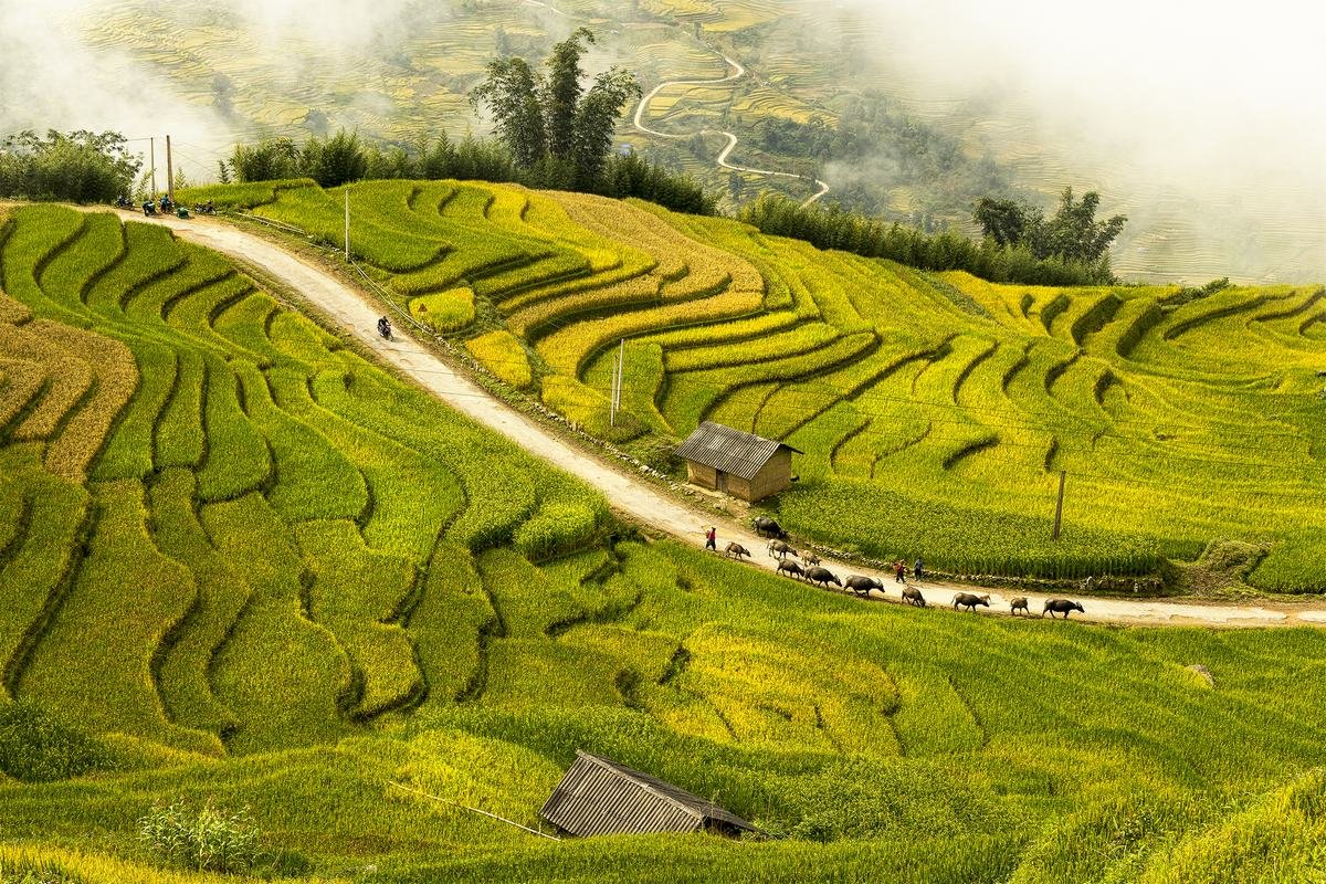 Hanoi - Sapa - 3 Days - Private Tour - Image 7