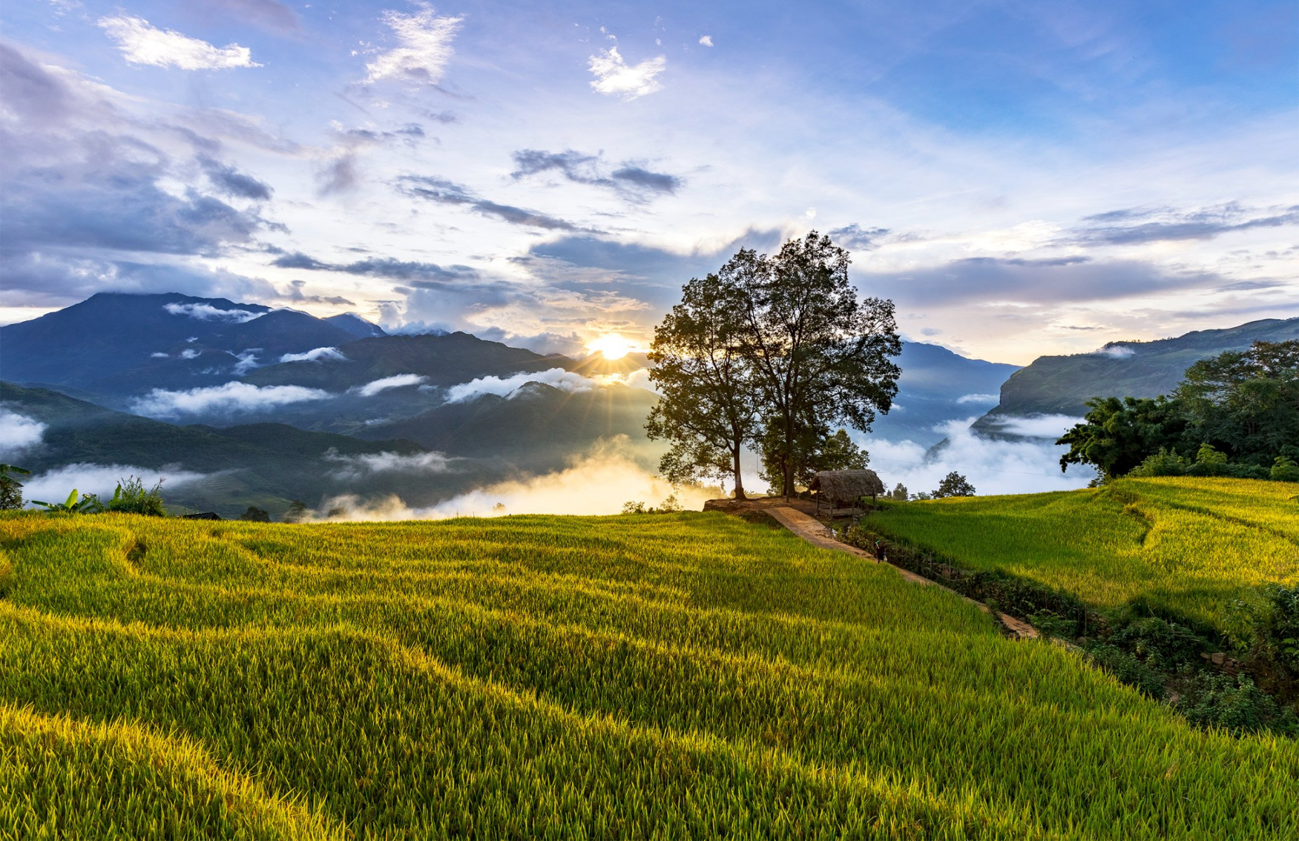 Hanoi - Sapa - 3 Days - Private Tour - Image 8