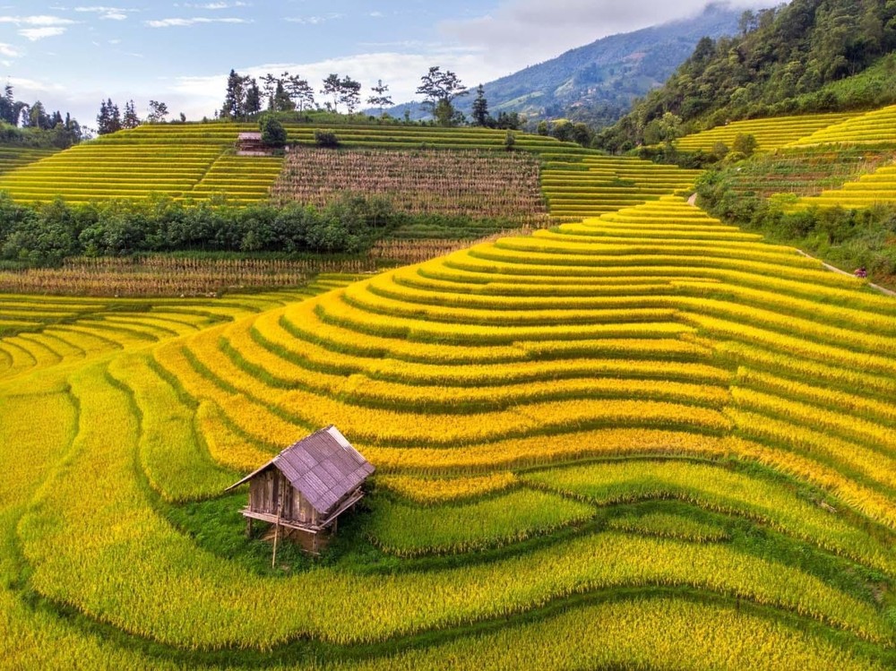 Hanoi - Sapa - 3 Days - Private Tour - Image 9