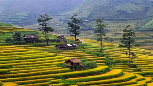 Hanoi - Sapa - 3 Days - Private Tour