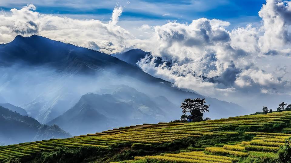 Hanoi - Sapa - 3 Days - Private Tour - Image 11