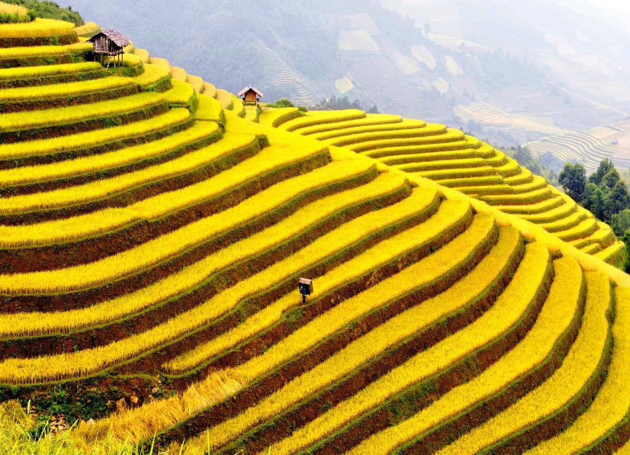 Hanoi - Sapa - 3 Days - Private Tour - Image 12