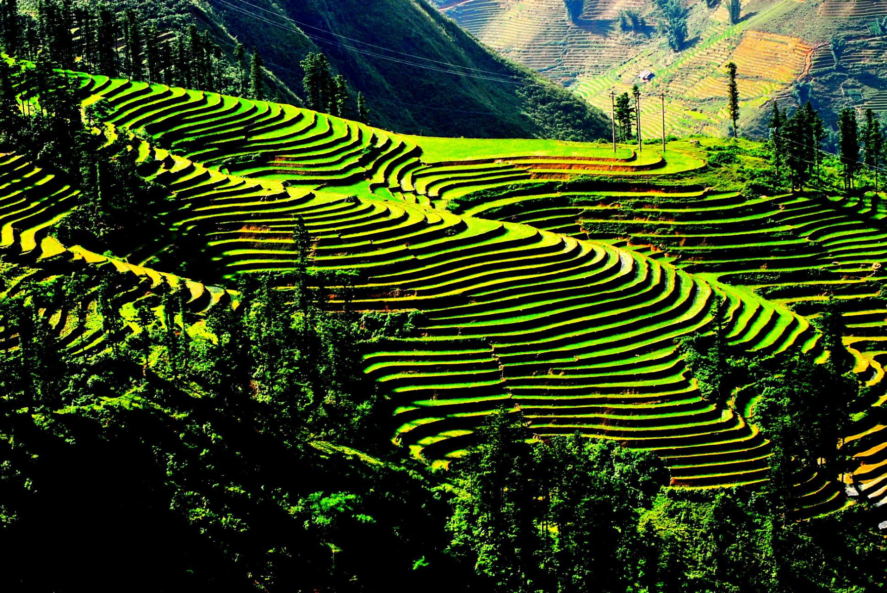 Hanoi - Sapa - 3 Days - Private Tour - Image 14