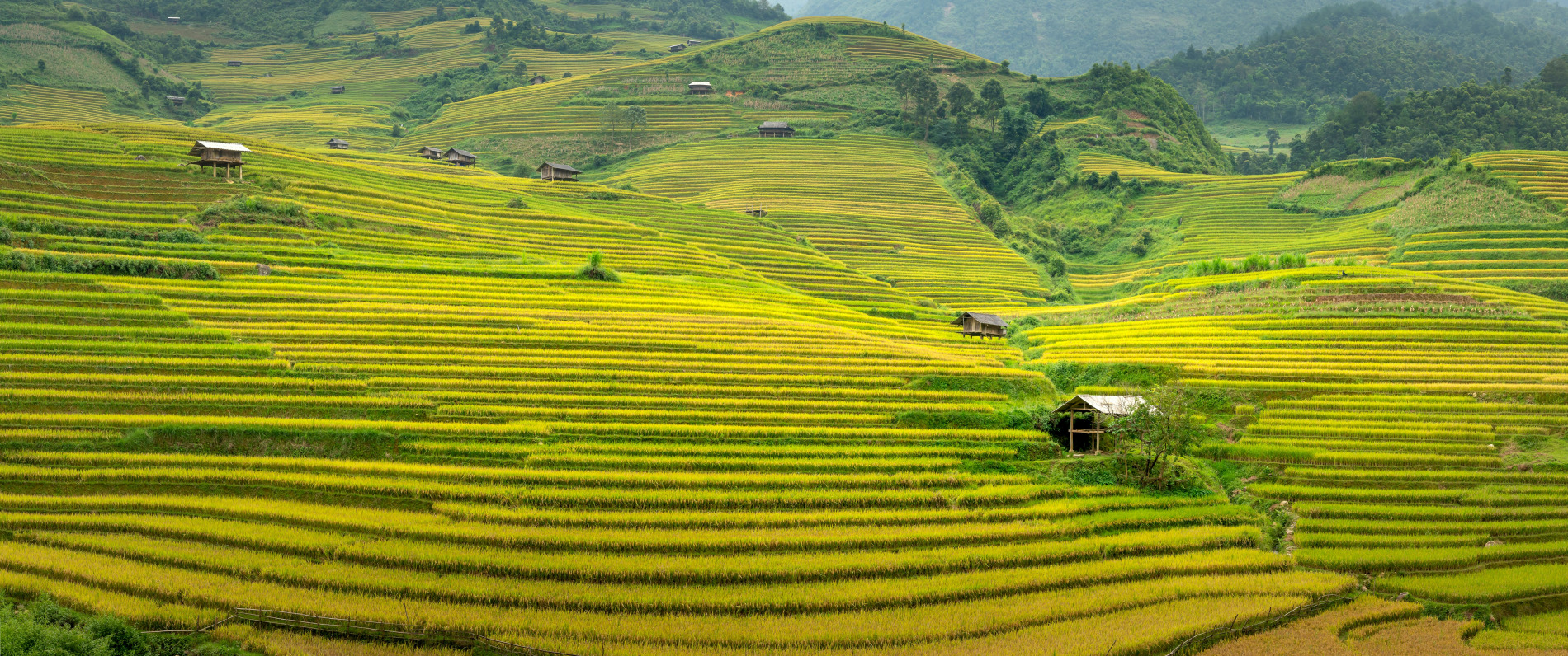 Hanoi - Sapa - 3 Days - Private Tour - Image 19