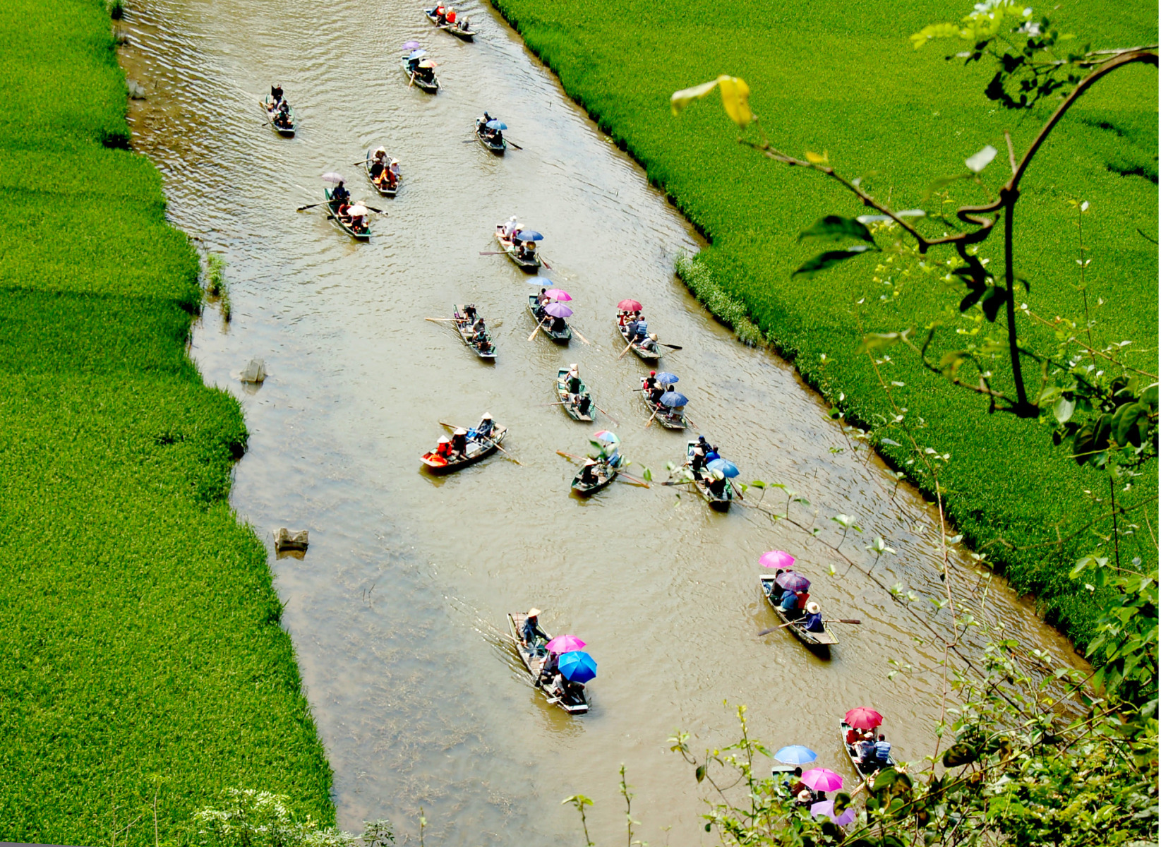 Hanoi – Ninh Binh 1 Day - Private Tour - Image 6