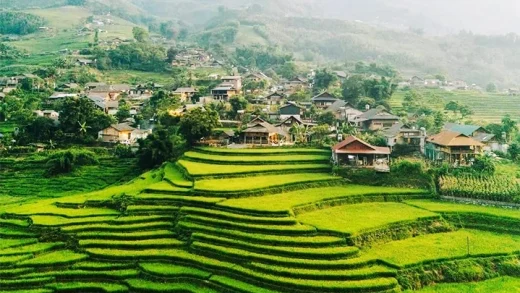 Sapa - Lao Chai - Ta Van – Giang Ta Chai - 2 Days 1 Night - Join Group Tour
